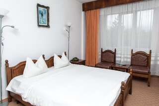 Отель Hotel Petroşani Петрошани Улучшенный двухместный номер с 1 кроватью или 2 отдельными кроватями-14