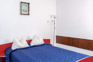 Отель Hotel Petroşani Петрошани Улучшенный двухместный номер с 1 кроватью или 2 отдельными кроватями-19